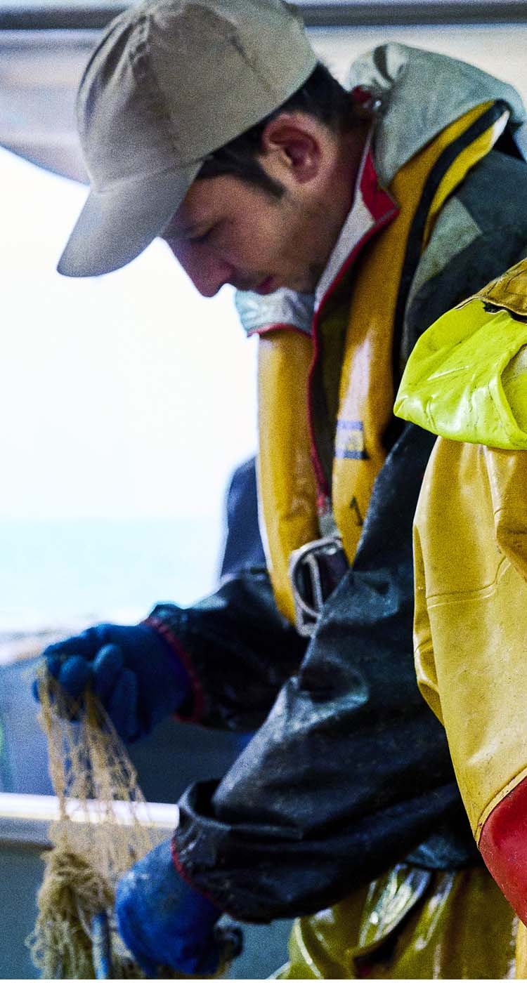 Les métiers de la pêche et de l'aquaculture